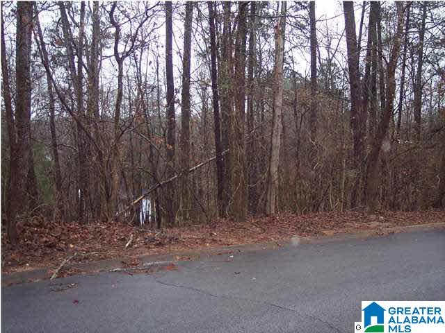 107 Hillandale Dr Unit Lot 6  