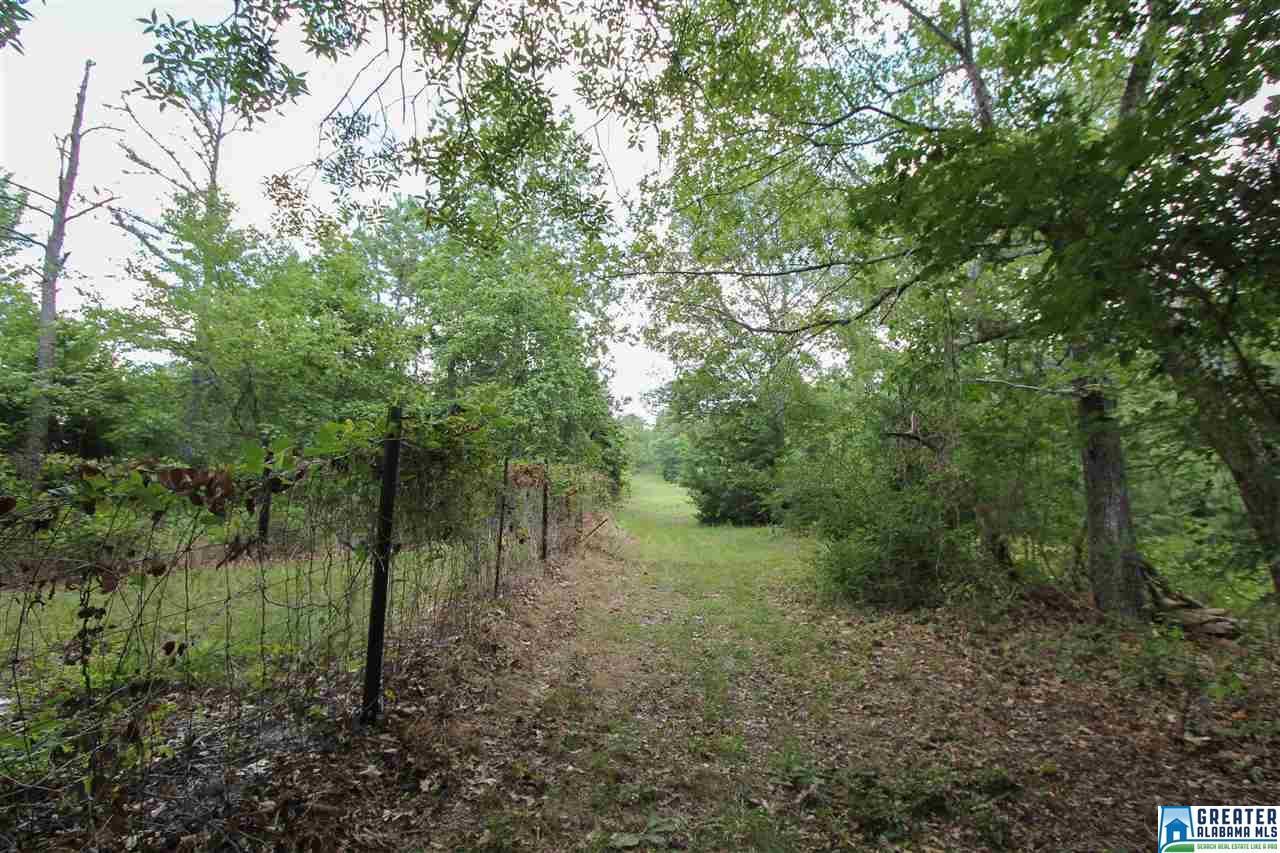 331 Powell Rd, Remlap, AL 35133 photo 31
