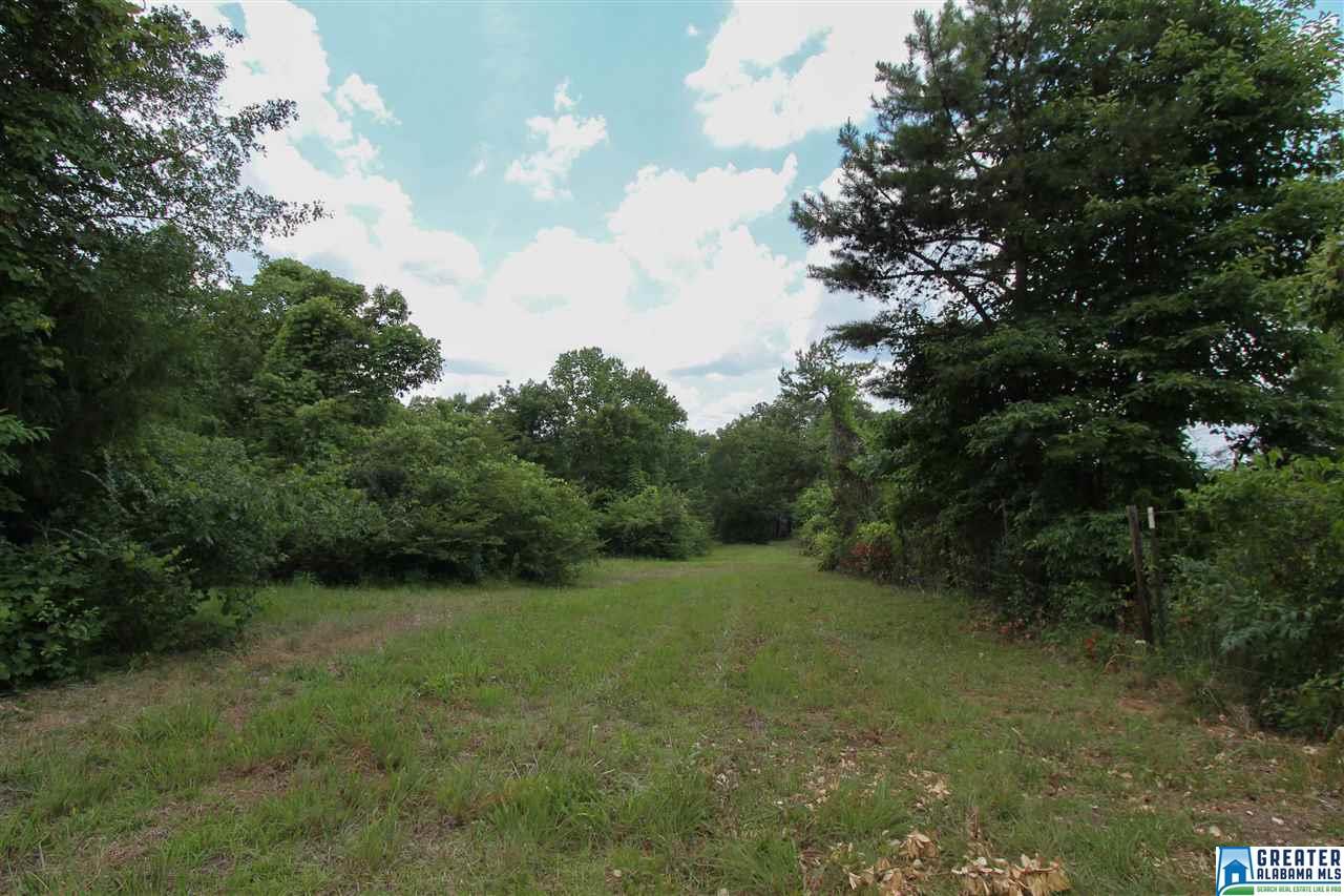 331 Powell Rd, Remlap, AL 35133 photo 30