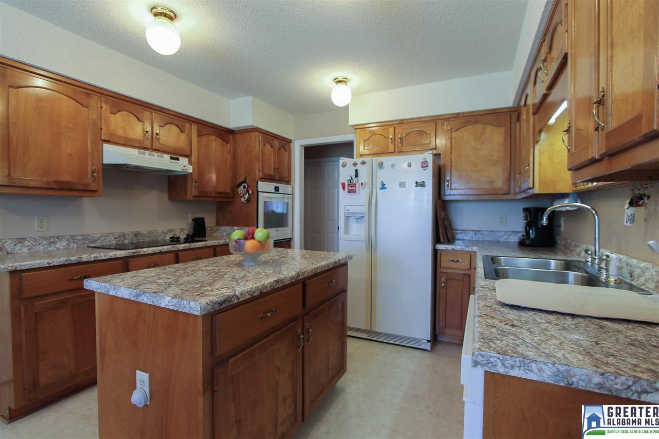 331 Powell Rd, Remlap, AL 35133 photo 11