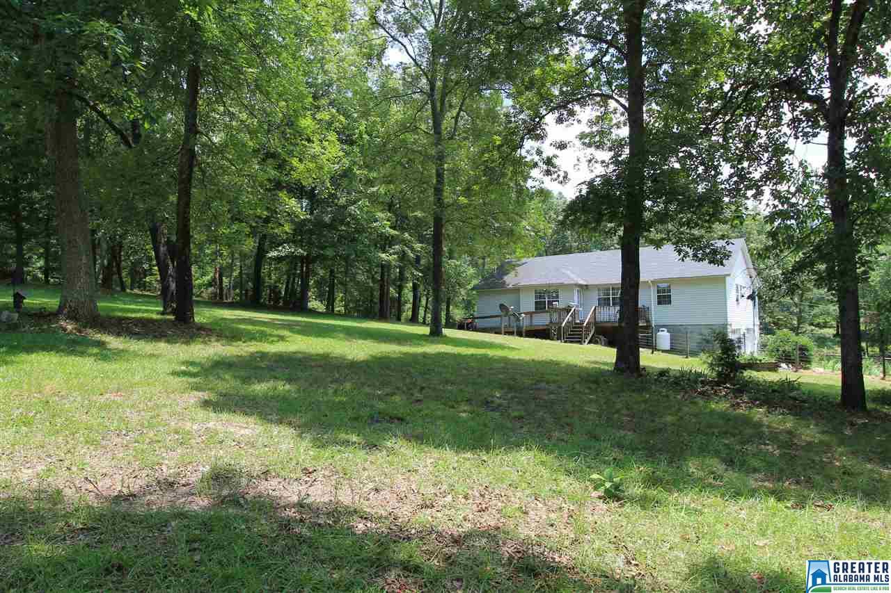 331 Powell Rd, Remlap, AL 35133 photo 44
