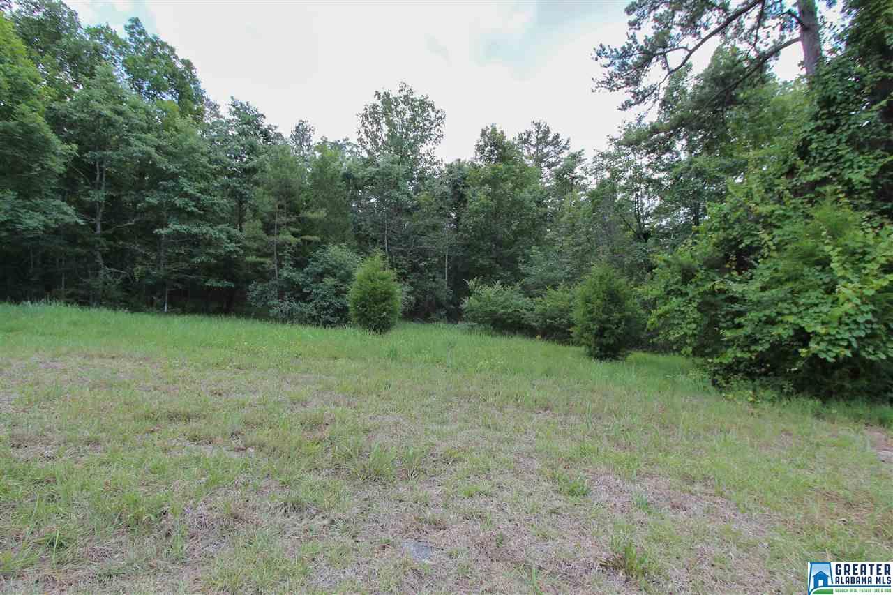 331 Powell Rd, Remlap, AL 35133 photo 29