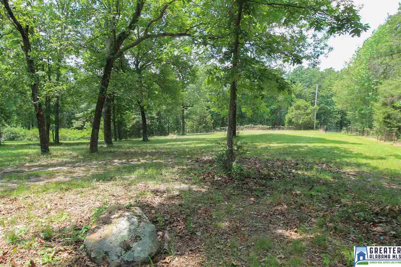 331 Powell Rd, Remlap, AL 35133 photo 43