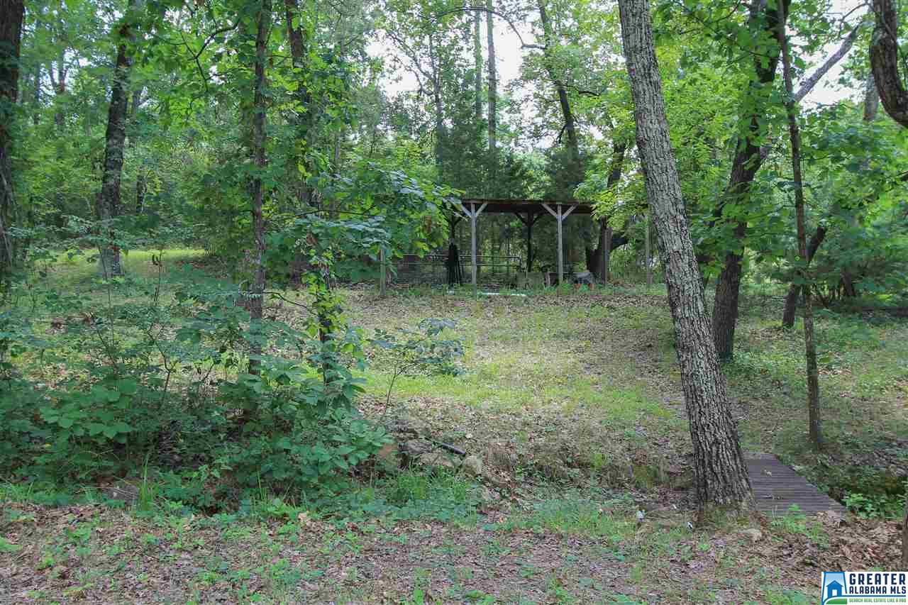 331 Powell Rd, Remlap, AL 35133 photo 36