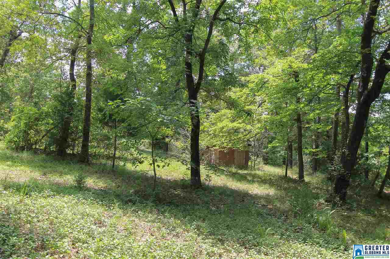 331 Powell Rd, Remlap, AL 35133 photo 38