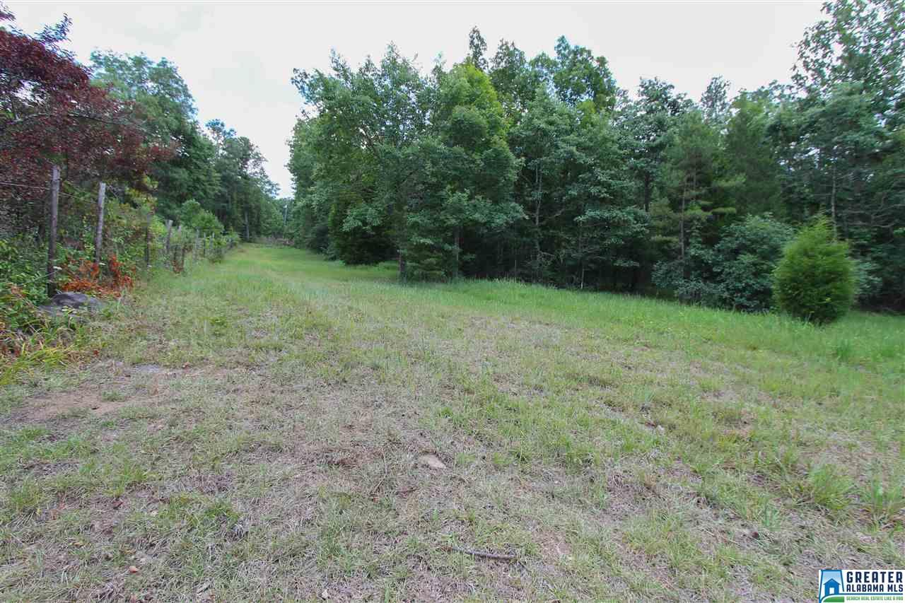 331 Powell Rd, Remlap, AL 35133 photo 28