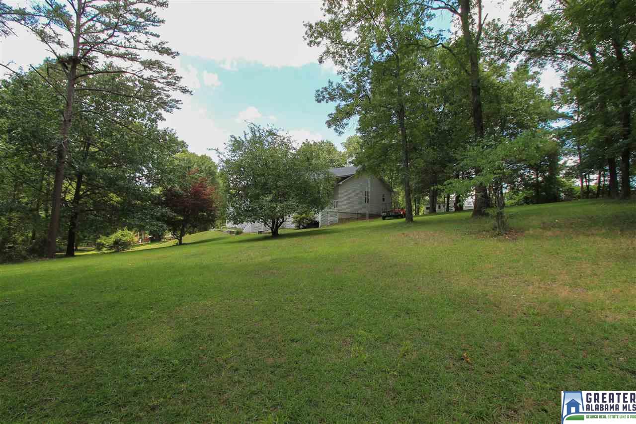 331 Powell Rd, Remlap, AL 35133 photo 34