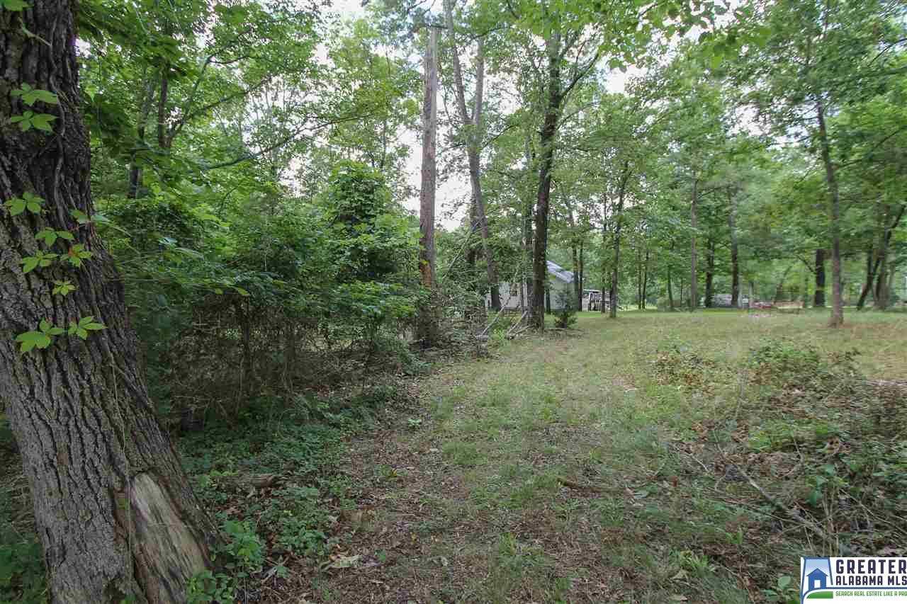 331 Powell Rd, Remlap, AL 35133 photo 32