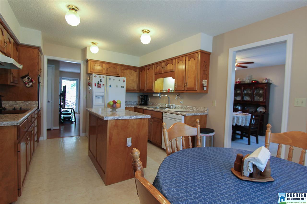 331 Powell Rd, Remlap, AL 35133 photo 9
