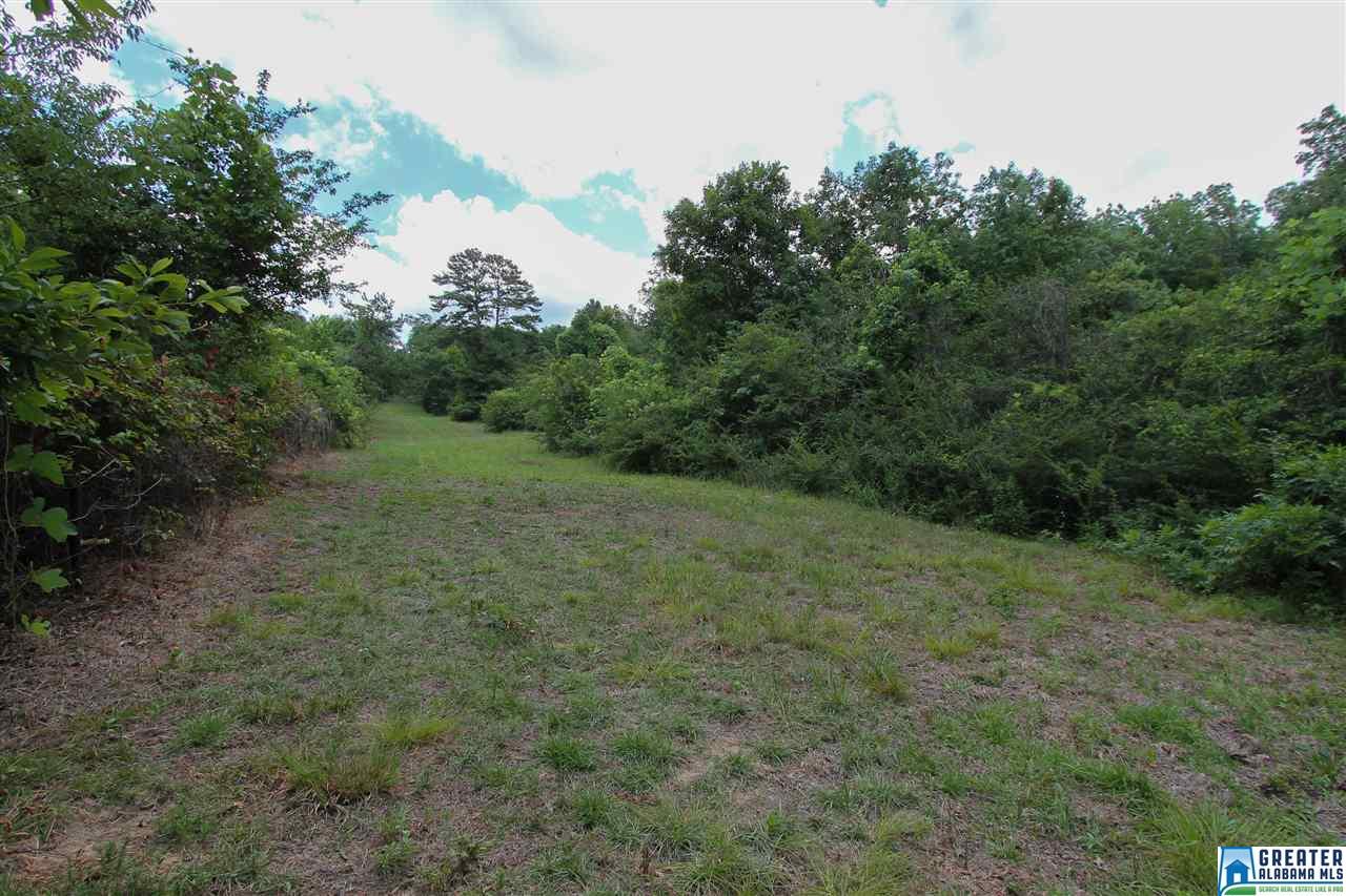 331 Powell Rd, Remlap, AL 35133 photo 27