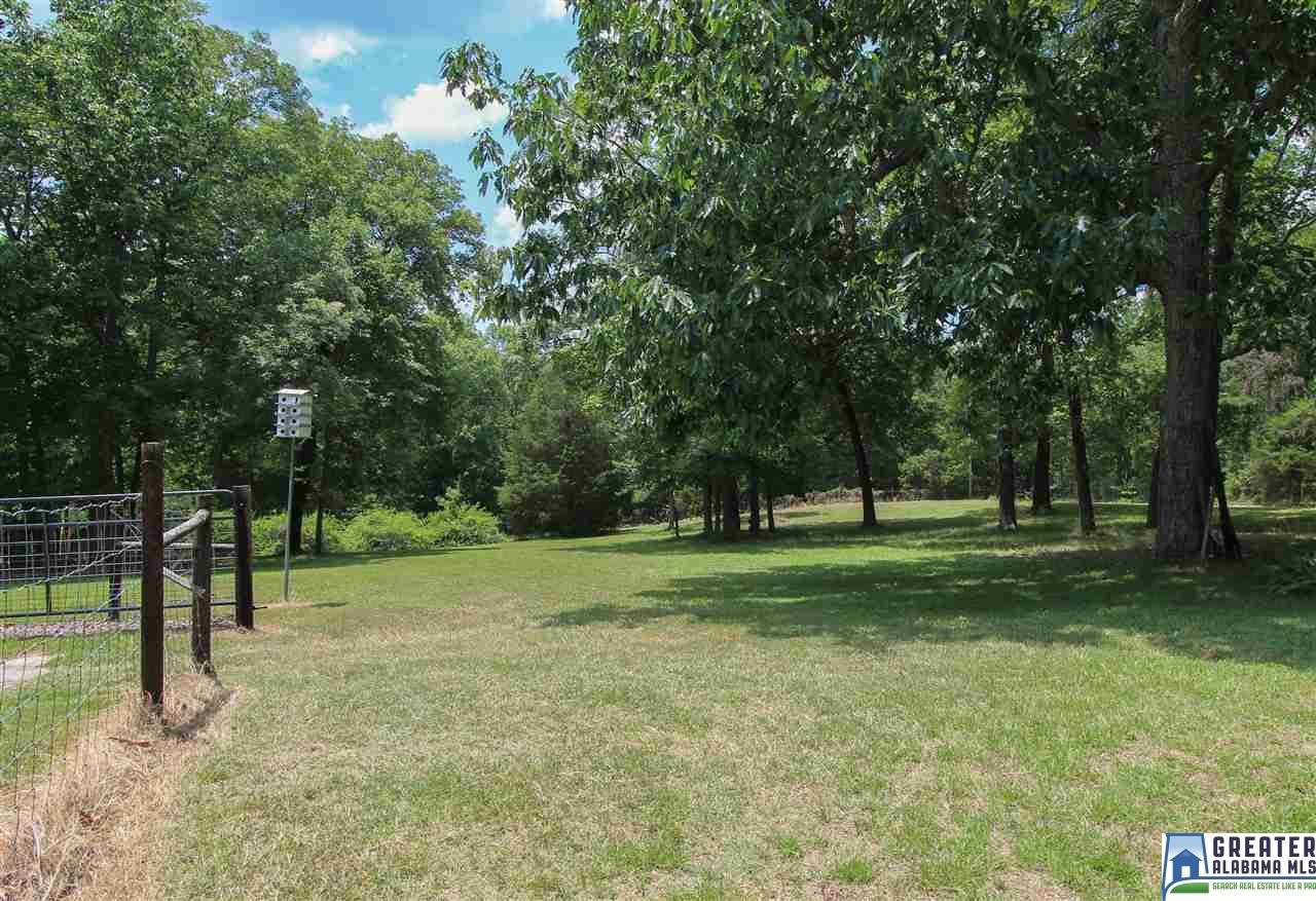331 Powell Rd, Remlap, AL 35133 photo 42