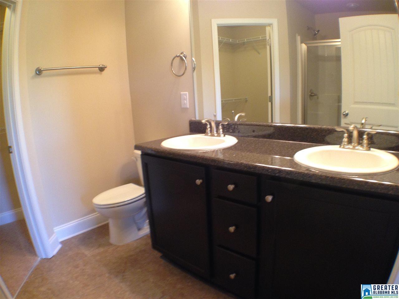 159 Hidden Trace Ct, Montevallo, AL 35115 photo 11
