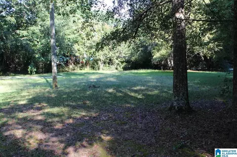 80 Davis Rd, Vincent, AL 35178 photo 11