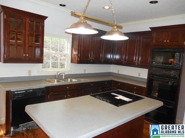 743 Mohawk Trl, Ohatchee, AL 36271 photo 6