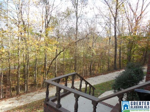 743 Mohawk Trl, Ohatchee, AL 36271 photo 42
