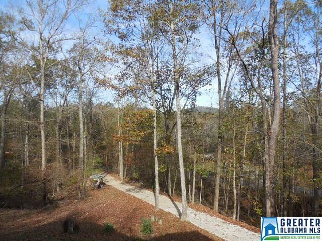 743 Mohawk Trl, Ohatchee, AL 36271 photo 41