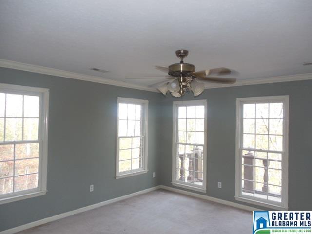 743 Mohawk Trl, Ohatchee, AL 36271 photo 20