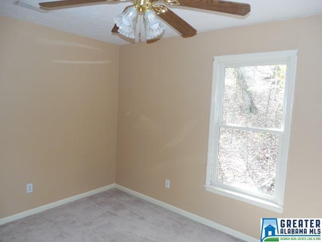 743 Mohawk Trl, Ohatchee, AL 36271 photo 26