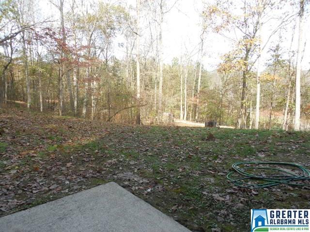 743 Mohawk Trl, Ohatchee, AL 36271 photo 46