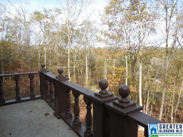 743 Mohawk Trl, Ohatchee, AL 36271 photo 44