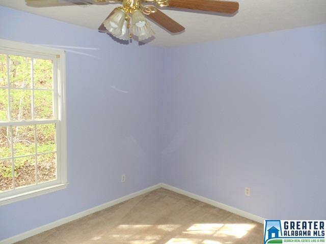 743 Mohawk Trl, Ohatchee, AL 36271 photo 28
