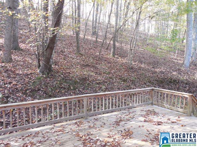 743 Mohawk Trl, Ohatchee, AL 36271 photo 43