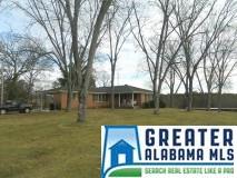 903 County Road 461, Clanton, AL 35046 photo 6