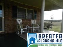 903 County Road 461, Clanton, AL 35046 photo 2