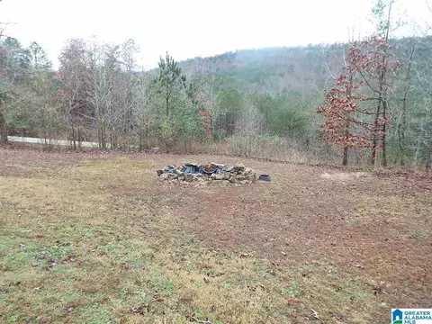 188 House Rd, Remlap, AL 35133 photo 5
