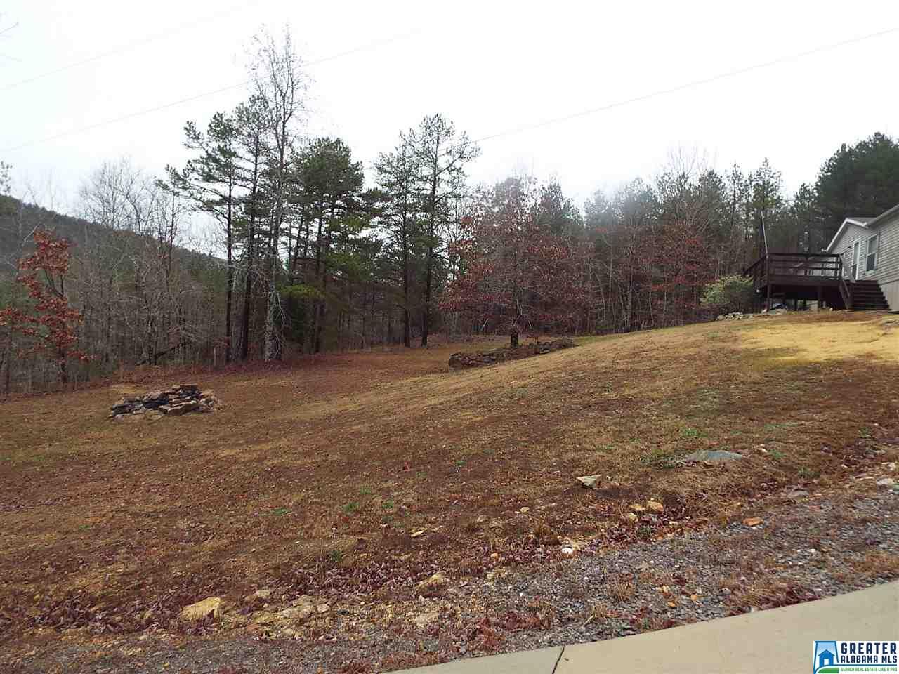 188 House Rd, Remlap, AL 35133 photo 8