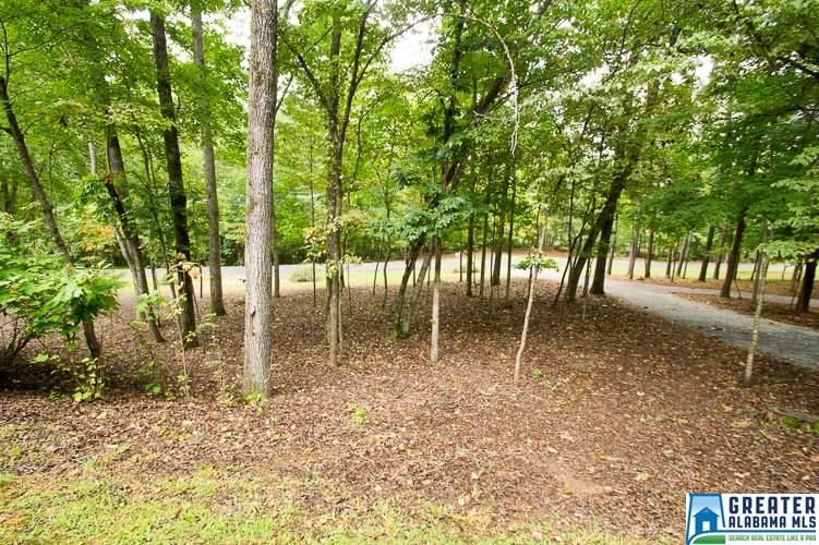 243 Christopher Cv, Sterrett, AL 35147 photo 32