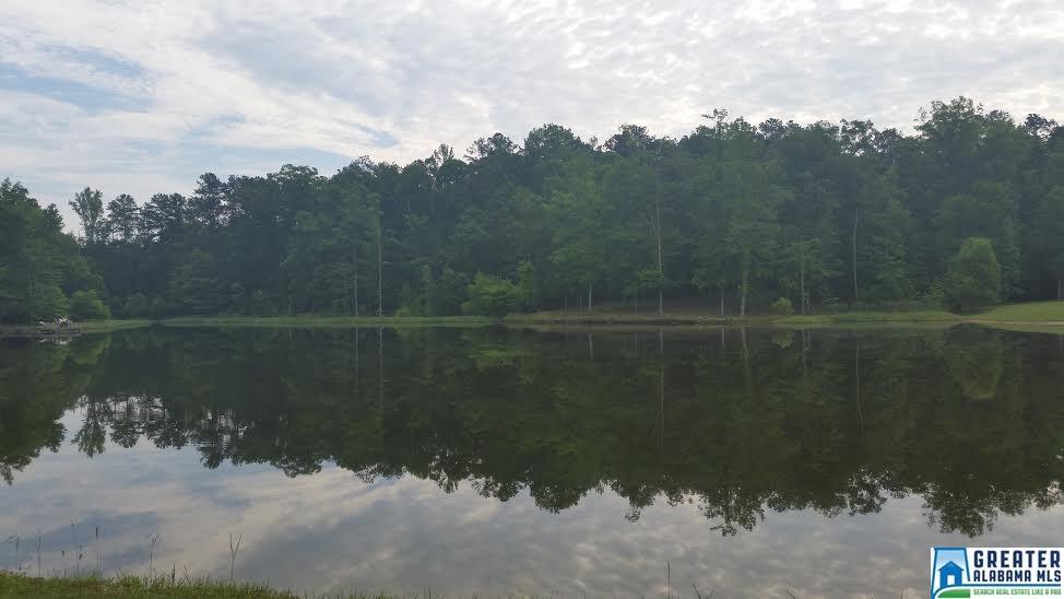 243 Christopher Cv, Sterrett, AL 35147 photo 41