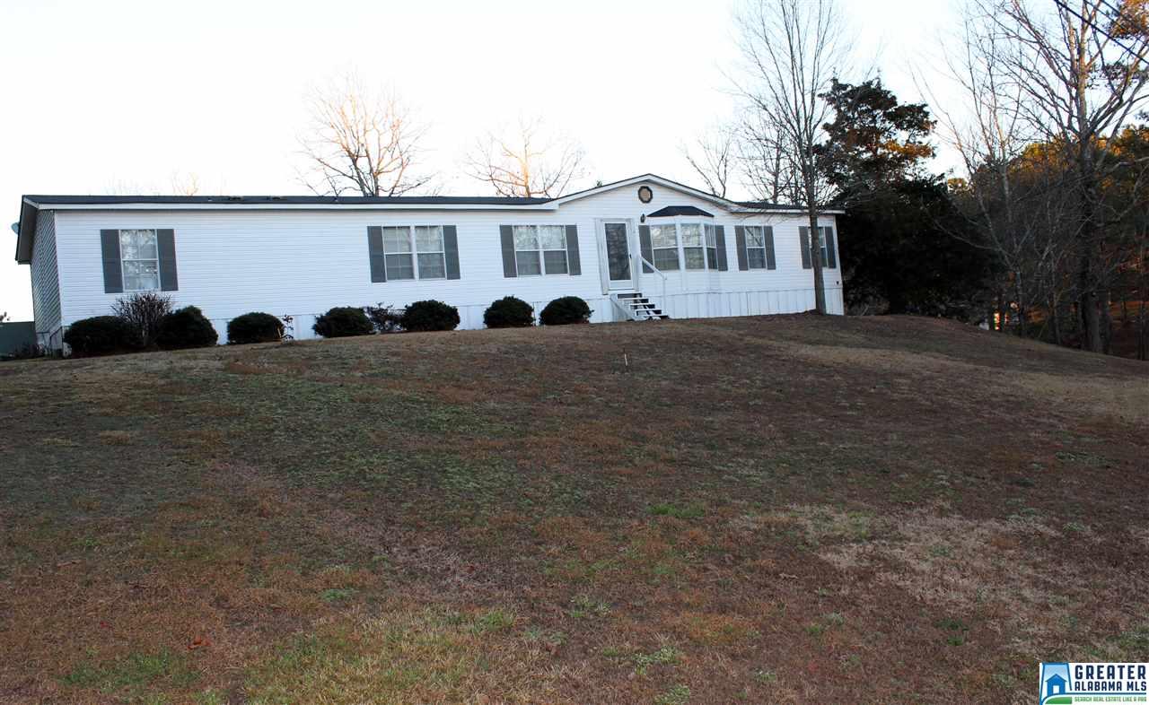45 Teddy Dr, Oneonta, AL 35121 photo 1