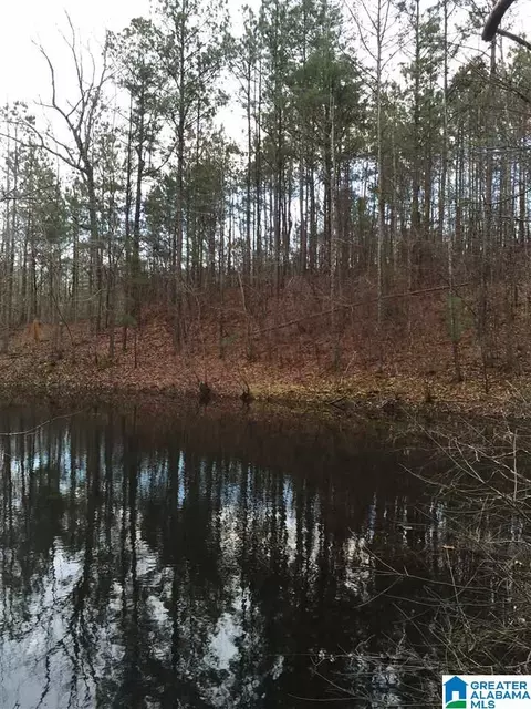 4539 County Road 32, Clanton, AL 35046 photo 33