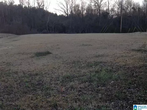 1580 County Road 49, Clanton, AL 35045 photo 7