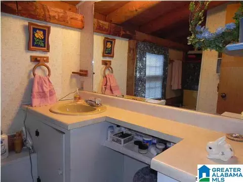 40 Pine St, Munford, AL 36268 photo 23