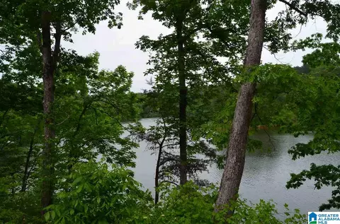 66 White Oak Pl, Arley, AL 35541 photo 11