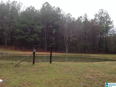 3095 County Road 61 E, Clanton, AL 35046 photo 3