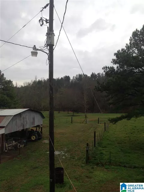 3095 County Road 61 E, Clanton, AL 35046 photo 30