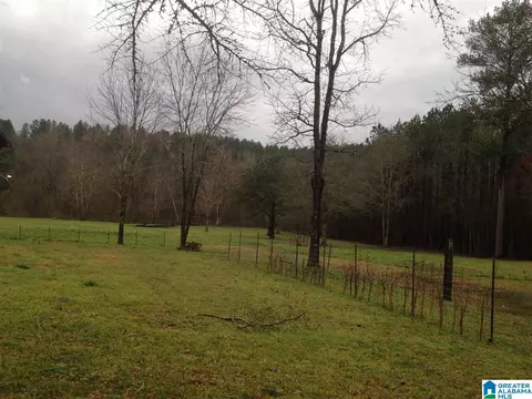 3095 County Road 61 E, Clanton, AL 35046 photo 21