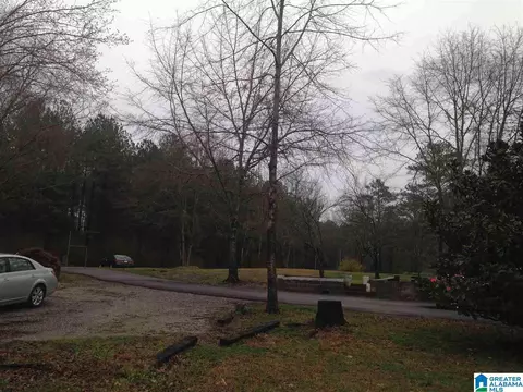3095 County Road 61 E, Clanton, AL 35046 photo 35