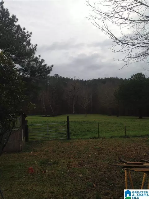 3095 County Road 61 E, Clanton, AL 35046 photo 33