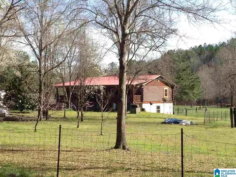 3095 County Road 61 E, Clanton, AL 35046 photo 1