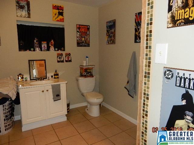 30 Wiley Dr, Dora, AL 35062 photo 11