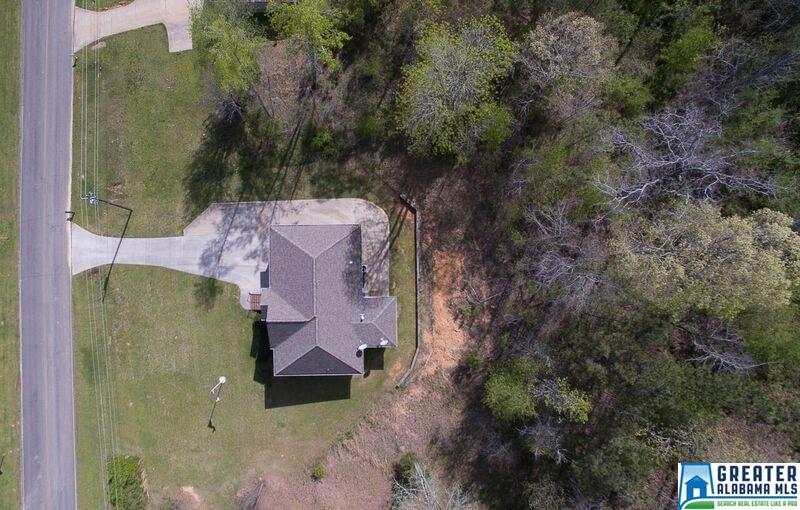 13787 Remlap Dr, Remlap, AL 35133 photo 23