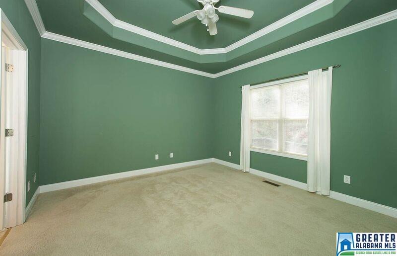 13787 Remlap Dr, Remlap, AL 35133 photo 11