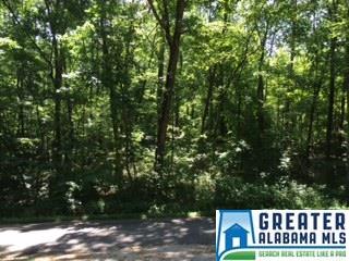 962 Pine Mountain Rd, Remlap, AL 35133 photo 3