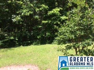 962 Pine Mountain Rd, Remlap, AL 35133 photo 5