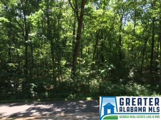 962 Pine Mountain Rd, Remlap, AL 35133 photo 4