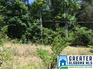 962 Pine Mountain Rd, Remlap, AL 35133 photo 7